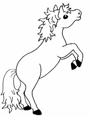 Tiere007