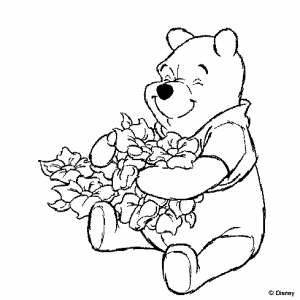 Winni Puh11